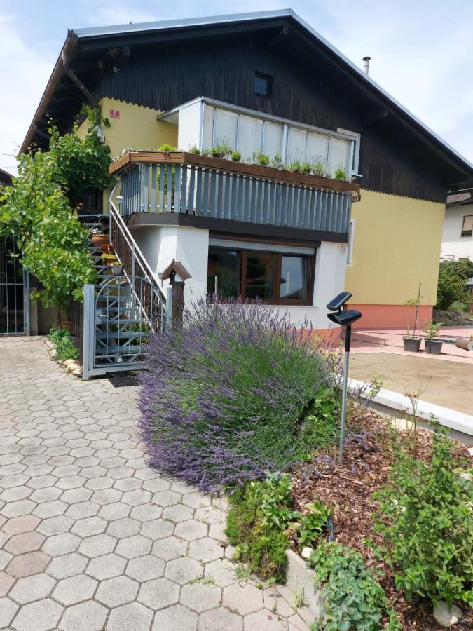 Apartma Reich Apartment Ptuj Exterior foto