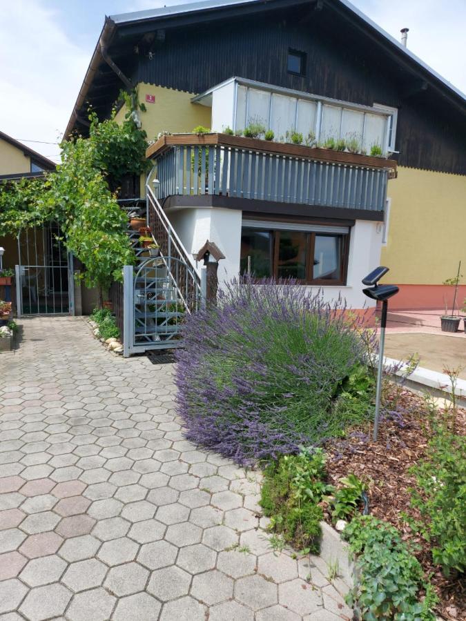 Apartma Reich Apartment Ptuj Exterior foto